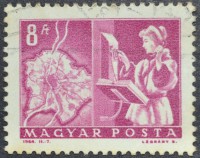 /album/galeria-de-fotos-hungria/a2038-1964-jpg/